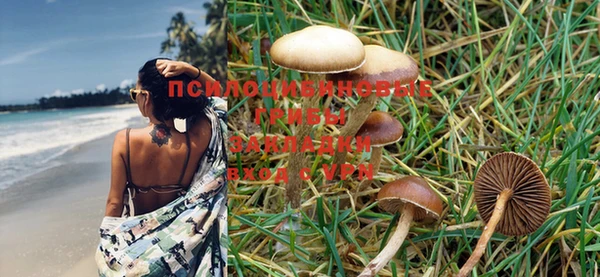 тгк Покров
