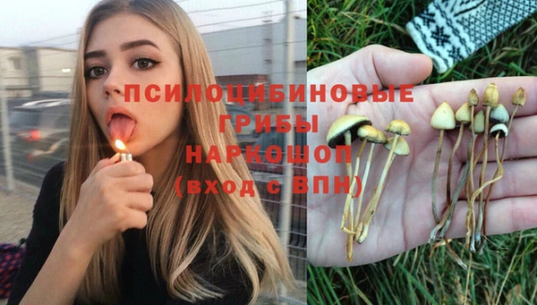 прущие грибы Покачи