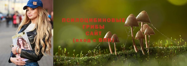 ГАЛЛЮЦИНОГЕННЫЕ ГРИБЫ Пересвет