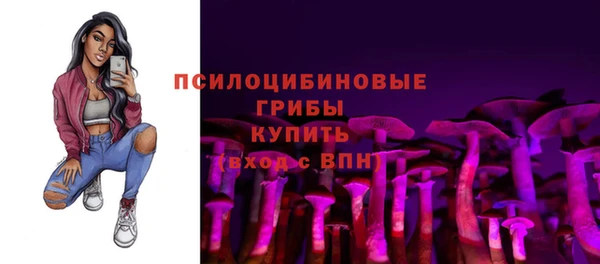тгк Покров