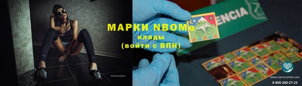 прущие грибы Покачи