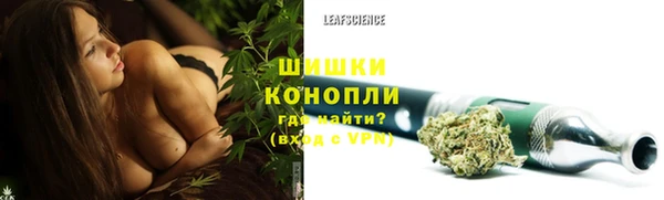 ГАЛЛЮЦИНОГЕННЫЕ ГРИБЫ Пересвет