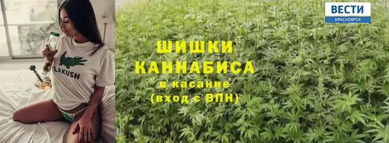 продажа наркотиков  Котельнич  Шишки марихуана Ganja 